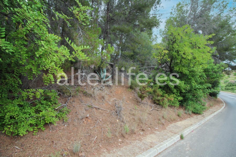 Parcela Urbana de 858 m2 en la zona de Santa Clara (5/8)