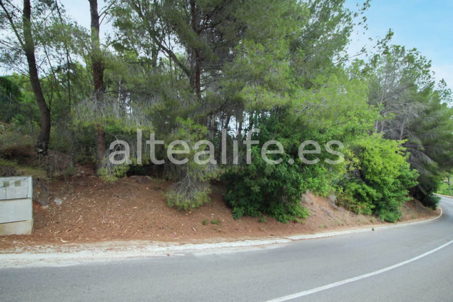 Parcela Urbana de 858 m2 en la zona de Santa Clara (7/8)