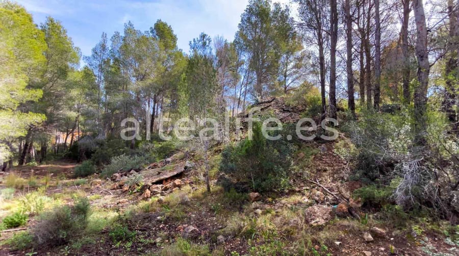 Parcela Urbana de 1230 m2 en la zona de Sierra de Altea (5/19)