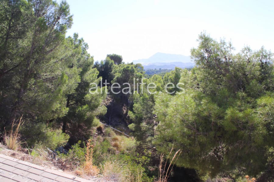 Parcela Urbana de 848 m2 en la zona de Paradiso (7/8)
