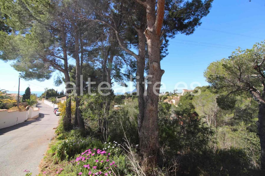 Parcela Urbana de 1591 m2 en la zona de Galera de las Palmeras (6/16)