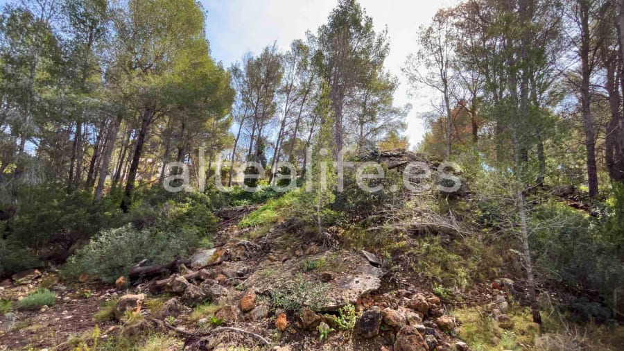 Parcela Urbana de 1230 m2 en la zona de Sierra de Altea (9/19)