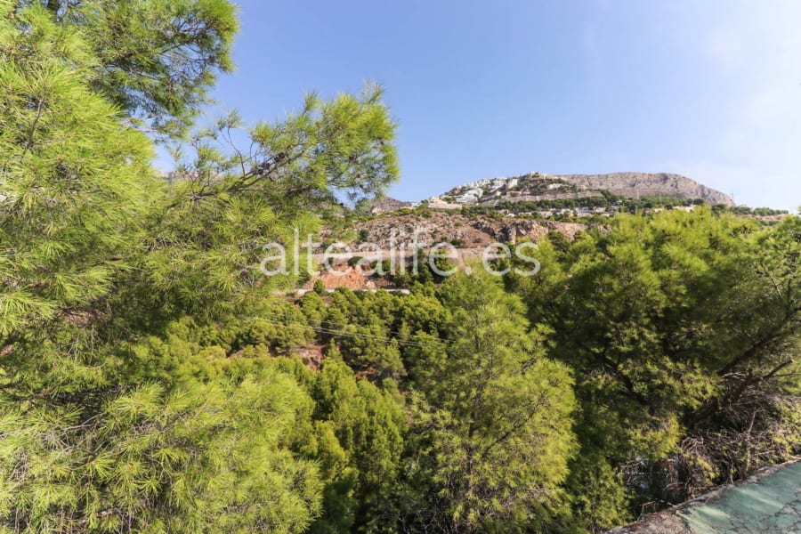 Parcela Urbana de 1182 m2 en la zona de Mascarat (8/8)