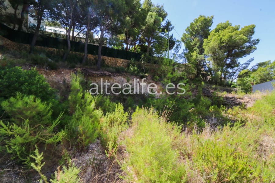 Parcela Urbana de 1000 m2 en la zona Sierra de Altea (5/10)