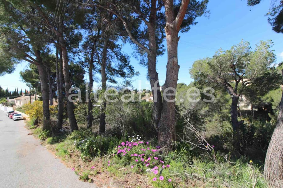 Parcela Urbana de 1591 m2 en la zona de Galera de las Palmeras (16/16)