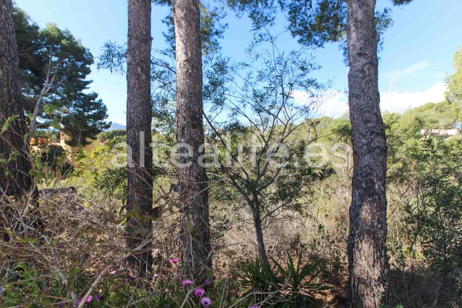 Parcela Urbana de 1591 m2 en la zona de Galera de las Palmeras (10/16)