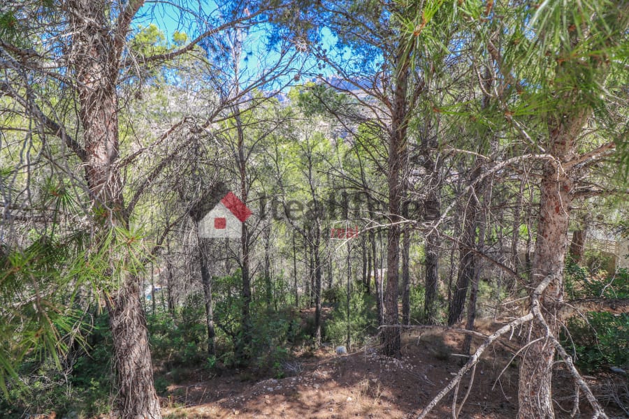 Parcela Urbana de 1360 m2 en Sierra de Altea (5/5)