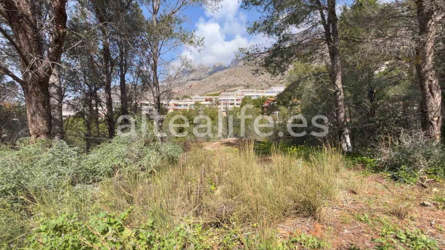 Parcela Urbana de 1230 m2 en la zona de Sierra de Altea (15/19)