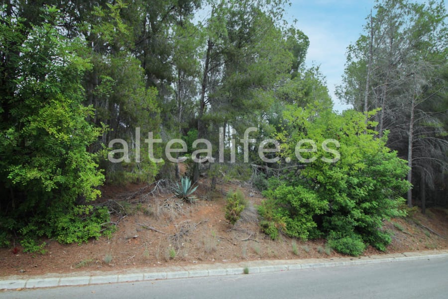 Parcela Urbana de 858 m2 en la zona de Santa Clara (8/8)