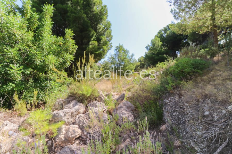 Parcela Urbana de 1000 m2 en la zona Sierra de Altea (8/10)