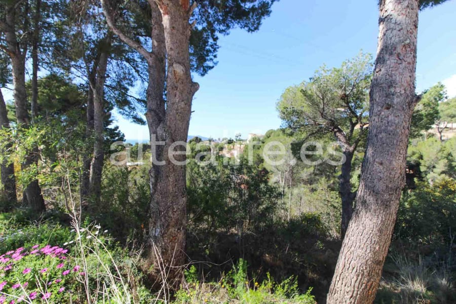 Parcela Urbana de 1591 m2 en la zona de Galera de las Palmeras (7/16)