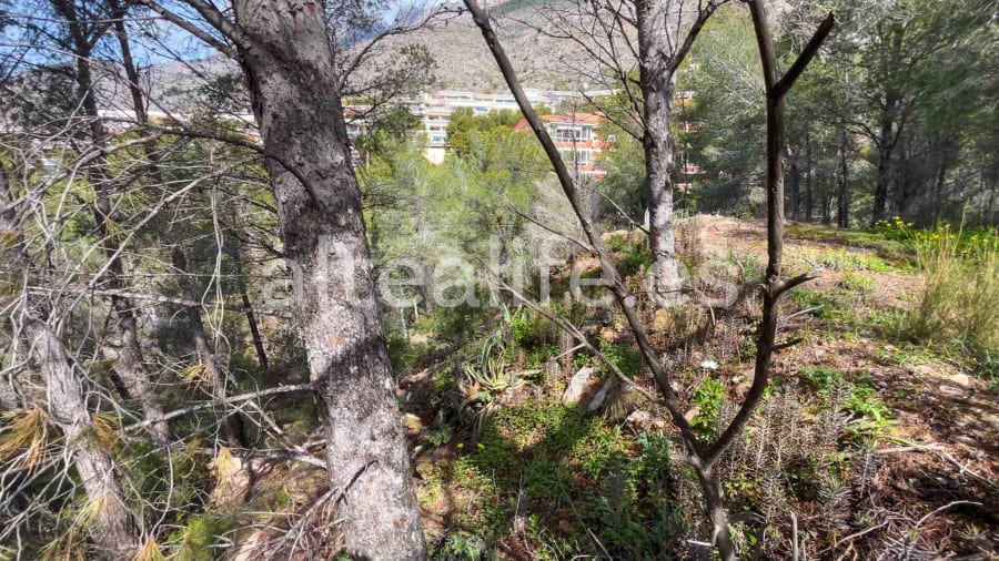 Parcela Urbana de 1230 m2 en la zona de Sierra de Altea (13/19)