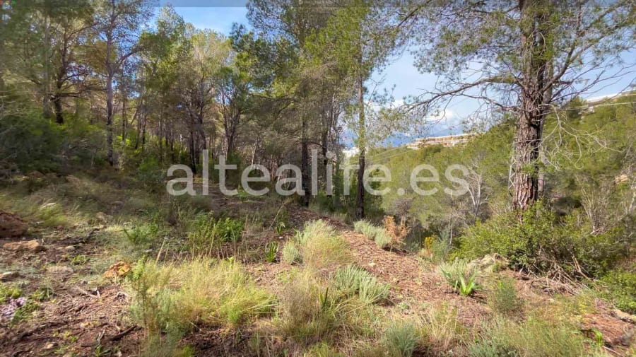 Parcela Urbana de 1230 m2 en la zona de Sierra de Altea (7/19)