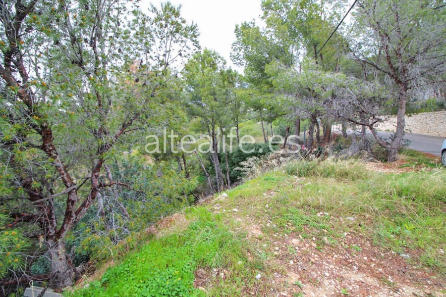 Parcela Urbana de 3600 m2 en la Galera de las Palmeras (5/8)