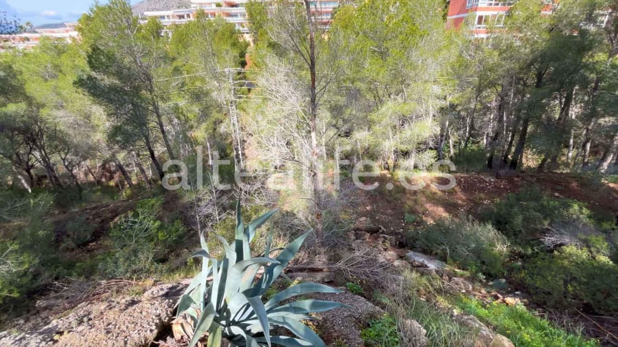 Parcela Urbana de 1230 m2 en la zona de Sierra de Altea (10/19)