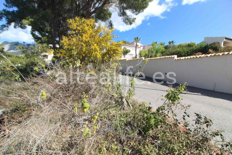 Parcela Urbana de 1591 m2 en la zona de Galera de las Palmeras (9/16)