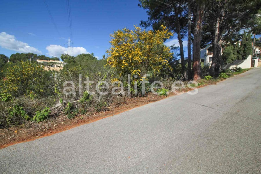 Parcela Urbana de 1591 m2 en la zona de Galera de las Palmeras (5/16)