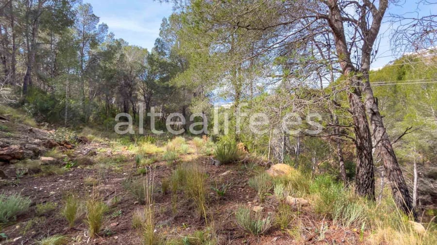 Parcela Urbana de 1230 m2 en la zona de Sierra de Altea (11/19)