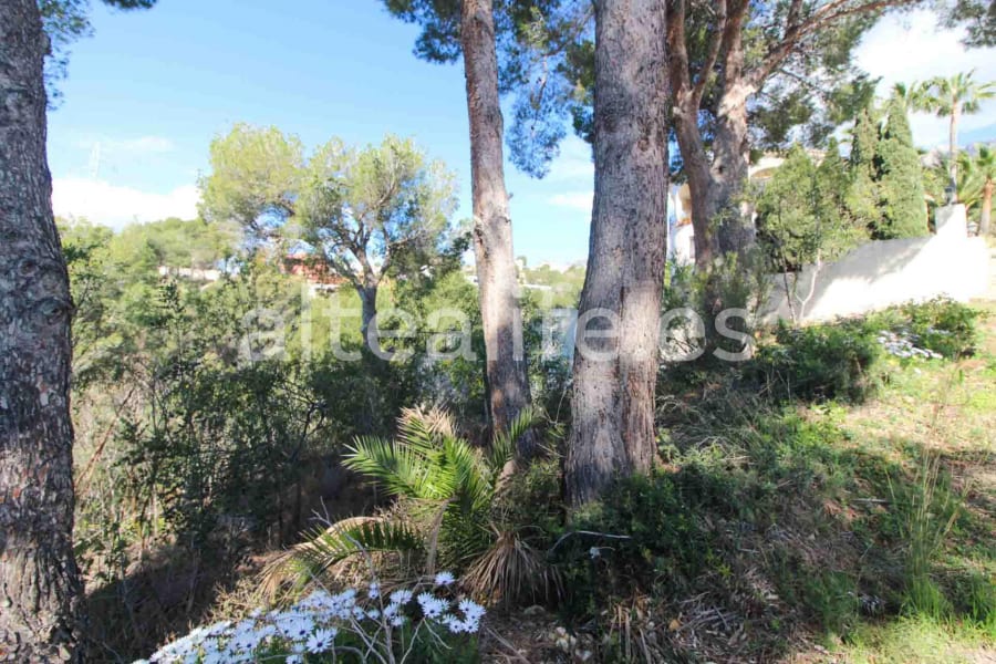 Parcela Urbana de 1591 m2 en la zona de Galera de las Palmeras (13/16)
