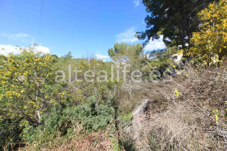 Parcela Urbana de 1591 m2 en la zona de Galera de las Palmeras (15/16)