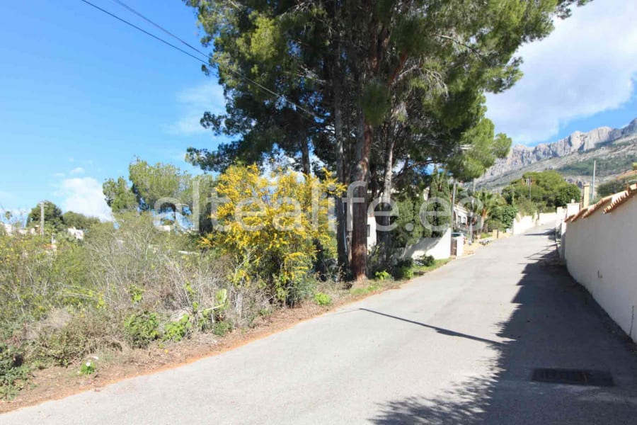 Parcela Urbana de 1591 m2 en la zona de Galera de las Palmeras (14/16)