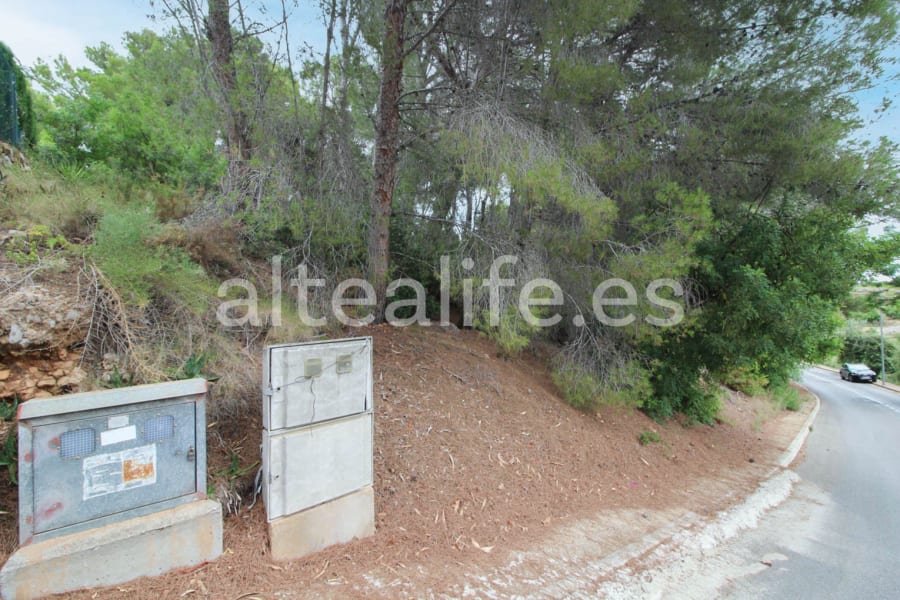 Parcela Urbana de 858 m2 en la zona de Santa Clara (6/8)