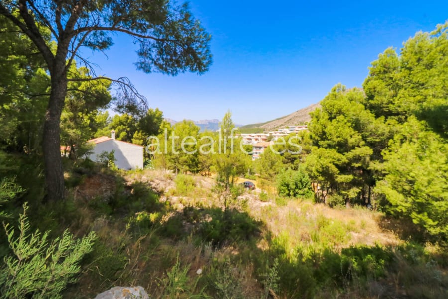 Parcela Urbana de 1000 m2 en la zona Sierra de Altea (6/10)