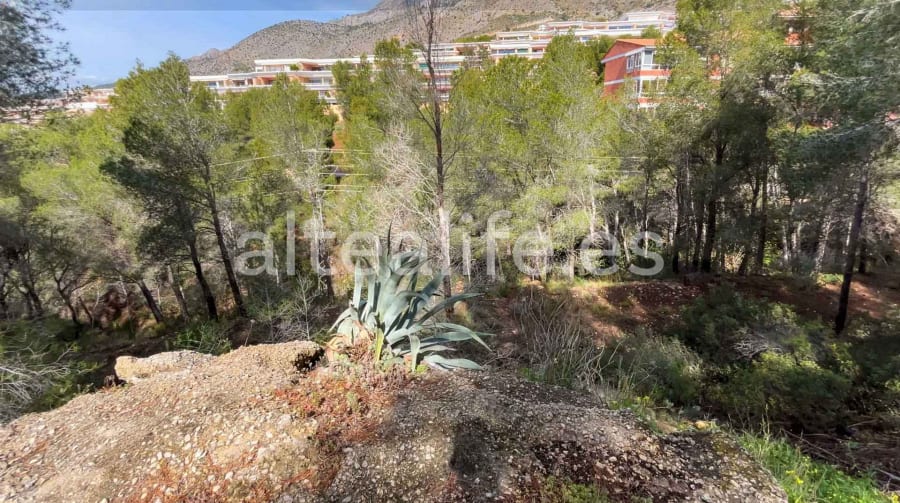 Parcela Urbana de 1230 m2 en la zona de Sierra de Altea (14/19)
