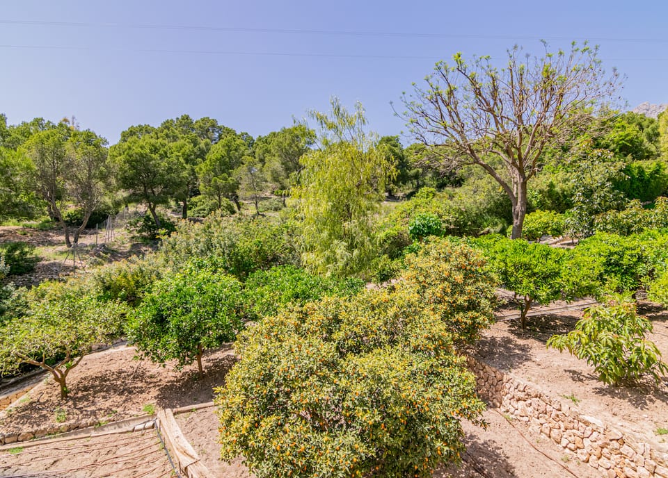 Villa for sale with sea views in Altea (12/15)