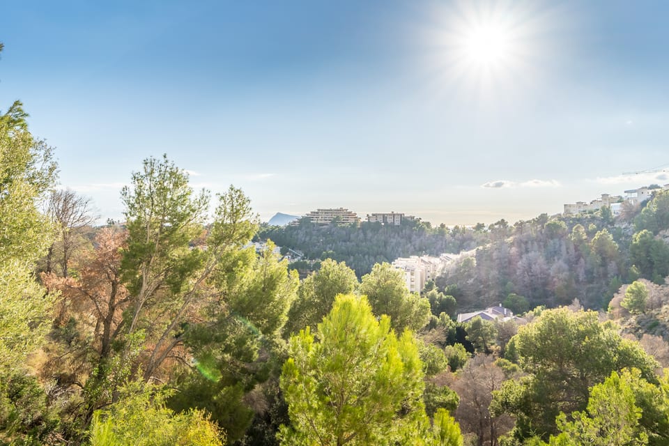 Apartment in Altea (13/15)