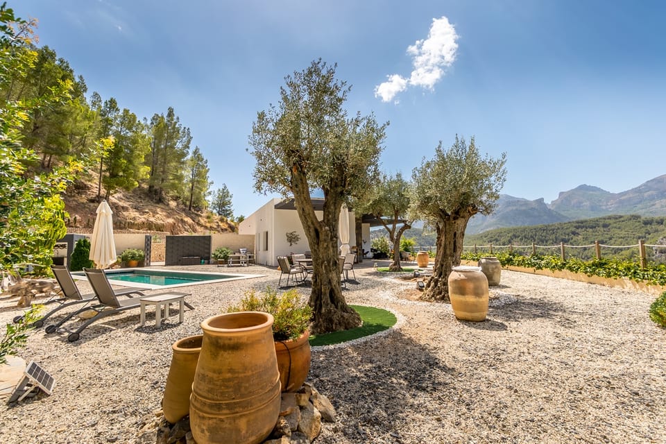 PANORAMIC VIEWS OF THE MOUNTAINS AND FOREST (14/15)