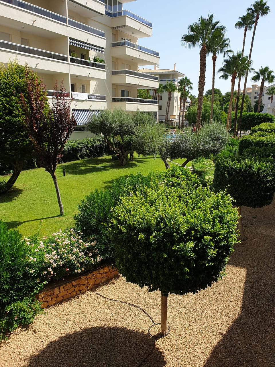 South facing apartment in Albir (7/15)